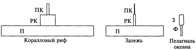 Рис. 3.2. Пирамиды биомассы некоторых биоценозов: П - продуценты; РК - растительноядные консументы; ПК - плотоядные консументы; Ф - фитопланктон; 3 - зоопланктон (крайняя справа пирамида биомассы имеет перевернутый вид)