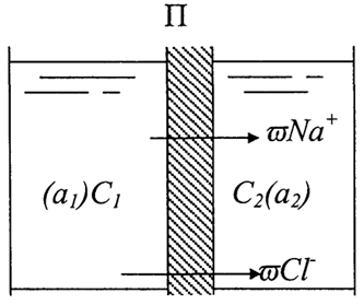 Рис. 2.3. Схема возникновения диффузионного потенциала в растворе NaCl концентрацией C1 > С2