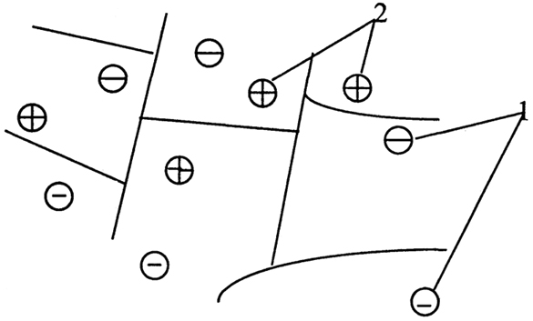 Рис. 2.9. Схема матрицы катионообменной: 1- ионогенные группы; 2 - противоионы