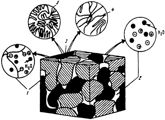 Рис. 2.14. Схематическое изображение многофазной структуры ионита [122]: 1 - гелевые участки, содержащие полимерные цепи с гидратированными фиксированными ионами, заряд которых компенсируется гидратированными противоионами и коионами; 2 - межгелевые промежутки, заполненные равновесным нейтральным раствором; 3 - гидрофобные участки, включающие скопление полимерных цепей без ионогенных групп (4) и (или) инертный связующий материал (полиэтилен) (5)