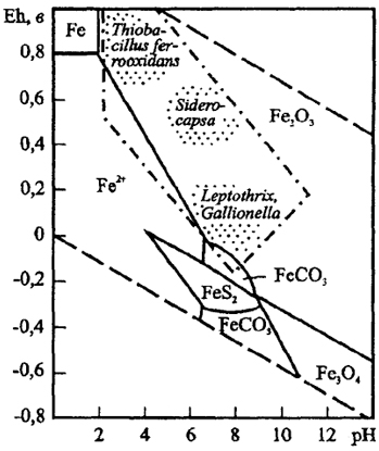 Рис.3. Поля устойчивости соединений железа в координатах Eh-pH<br>Показаны области развития основных групп железобактерий. Пунктир - поле устойчивости воды