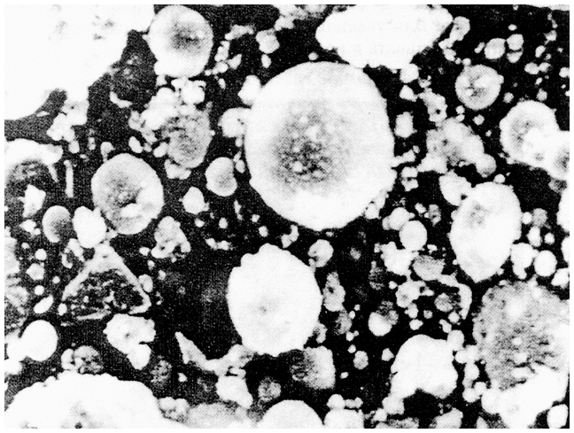  Рис. 1.16. Микрофотография сухой золы Юргинской ТЭЦ под электронным микроскопом. Увеличение х150