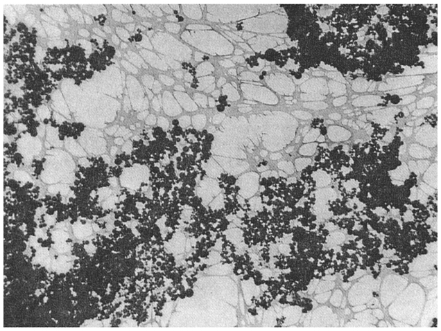  Рис. 1.26. Микрофотография структуры микрокремнезема под электронным микроскопом