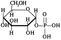 α-D-Рибозо-1-фосфат