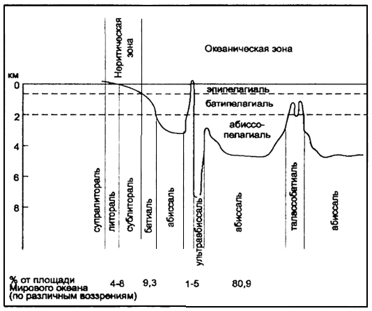 Рис. 5.3. Вертикальная экологическая зональность океана (по Н.Ф. Реймерсу, 1990)