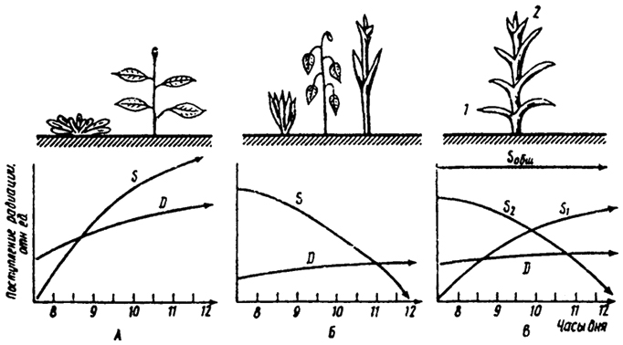 Рис. 5.21. Поступление прямой (S) и рассеянной (Д) солнечной радиации к растениям с горизонтальными (А), вертикальными (Б) и различно ориентированными (В) листьями (по И.А. Шульгину, 1967) 1,2 - листья с разными углами наклона; Sv S2 - поступление к ним прямой радиации; S - ее суммарное поступление к растению