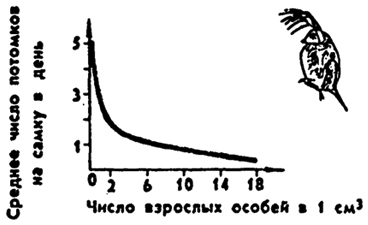 Рис. 10.15. Зависимость плодовитости у одного из видов дафний (по Ю. Одуму, 1975)