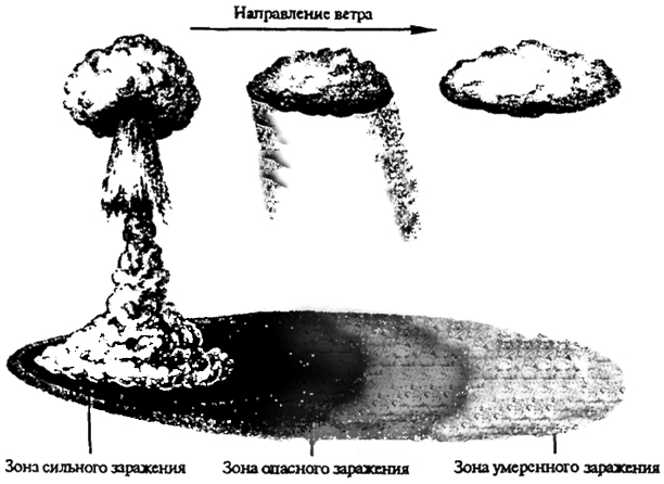 Рис. 13.26. Радиоактивное заражение при ядерном взрыве (по Е.А. Криксунову и др., 1995)