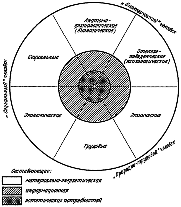 Рис. 19.2. Модель человека, состоящая из шести тесно взаимосвязанных подсистем (по Н.Ф. Реймерсу, 1994)